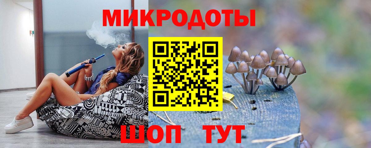 Галлюциногенные грибы Psilocybine cubensis Сафоново