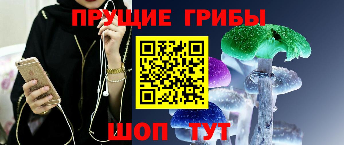 Галлюциногенные грибы Psilocybine cubensis  Сафоново  Галлюциногенные грибы Cubensis 